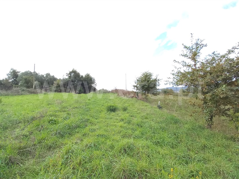 Terreno para Construção  Viana do Castelo, Santa Marta de Portuzelo - 1435696 - 14