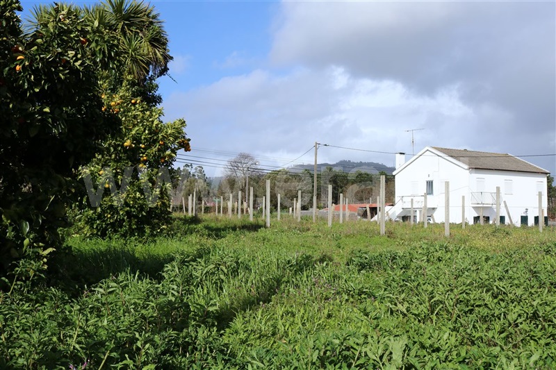 Terreno para Construção / Viana do Castelo, Santa Marta de Portuzelo