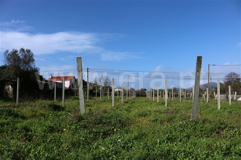 Terreno  Viana do Castelo, Santa Marta de Portuzelo - 895046 - 3