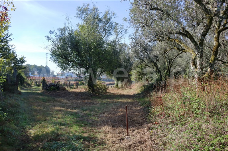 Terreno  Viana do Castelo, Santa Marta de Portuzelo - 955763 - 4