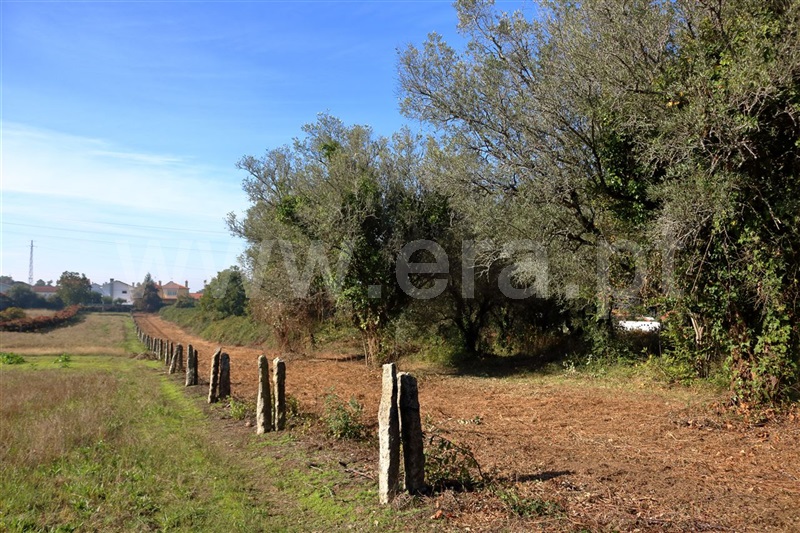 Terreno para Construção / Viana do Castelo, Santa Marta de Portuzelo