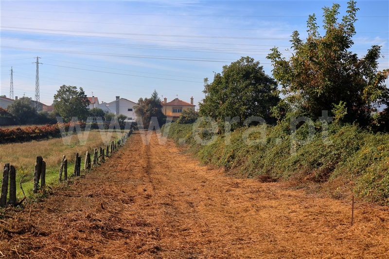 Terreno  Viana do Castelo, Santa Marta de Portuzelo - 955763 - 2