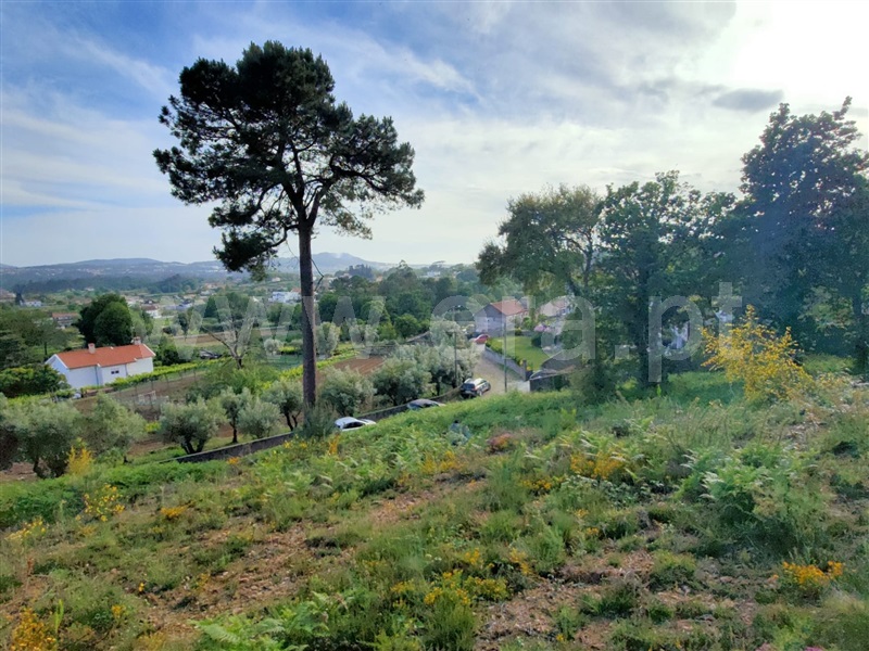 Terreno para Construção  Viana do Castelo, Serreleis - 1168239 - 2