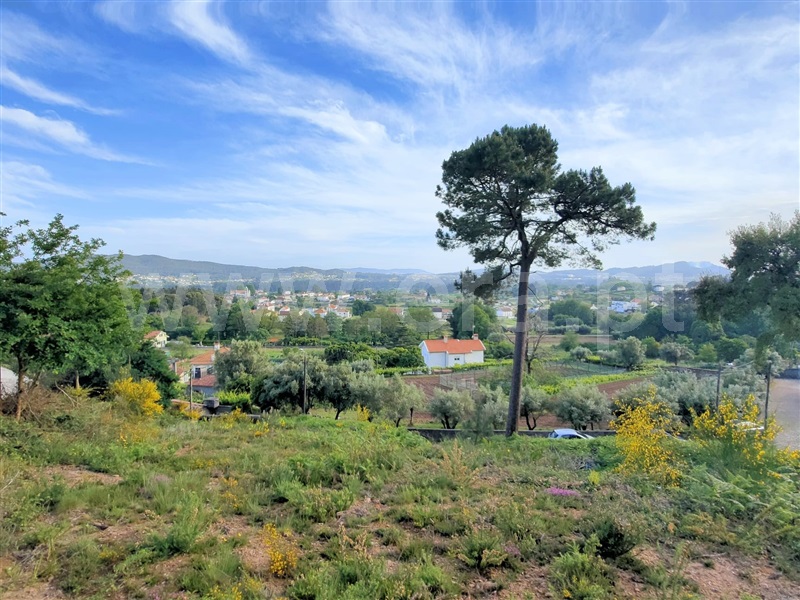Terreno para Construção  Viana do Castelo, Serreleis - 1168239 - 1