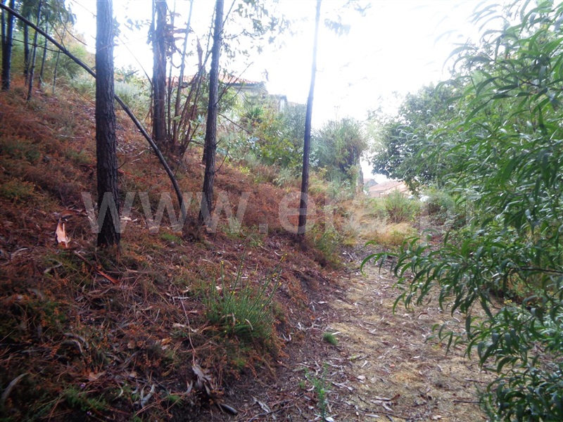 Terreno para Construção / Viana do Castelo, Serreleis