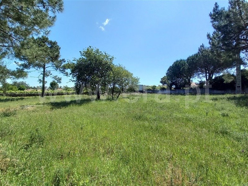Terreno para Construção / Viana do Castelo, Vila Fria
