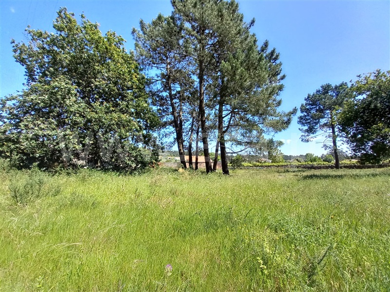 Terreno para Construção  Viana do Castelo, Mazarefes e Vila Fria - 1407538 - 4