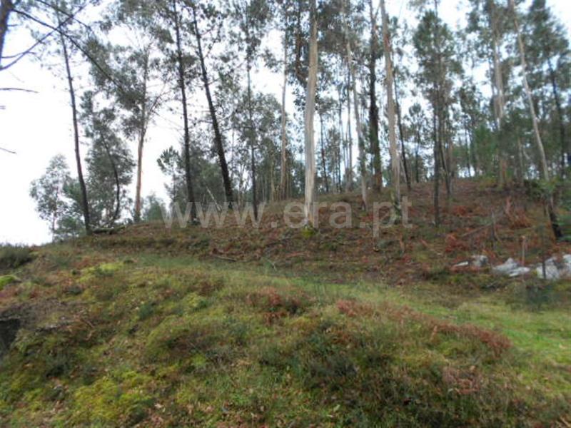 Terreno para Construção  Vieira do Minho, Anissó e Soutelo - 556222 - 3
