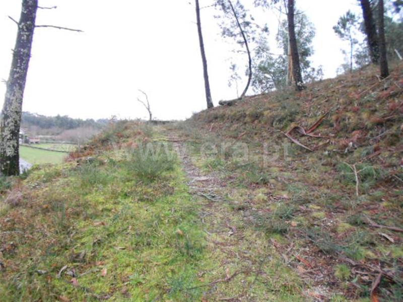 Terreno para Construção  Vieira do Minho, Anissó e Soutelo - 556222 - 4