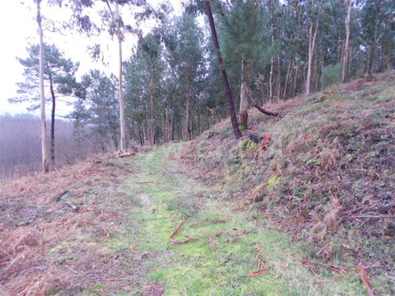 Terreno para Construção  Vieira do Minho, Anissó e Soutelo - 556222 - 8
