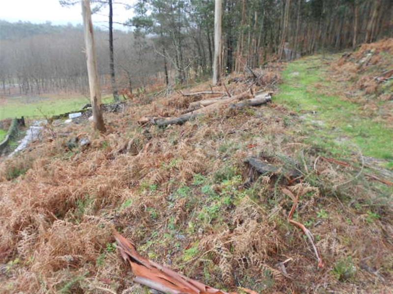 Terreno para Construção  Vieira do Minho, Anissó e Soutelo - 556222 - 9