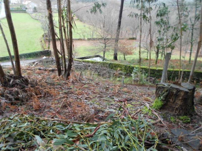 Terreno para Construção / Vieira do Minho, Anissó e Soutelo