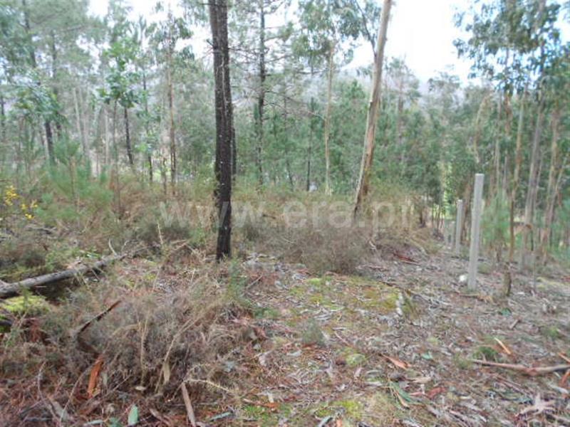 Terreno para Construção  Vieira do Minho, Anissó e Soutelo - 556222 - 18