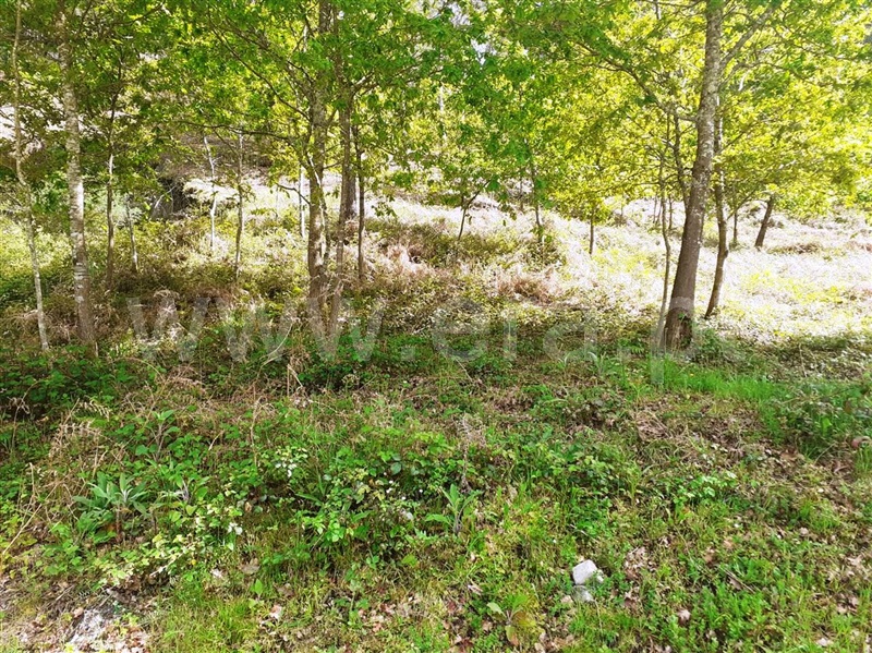 Terreno para Construção  Vieira do Minho, Eira Vedra - 1245435 - 3