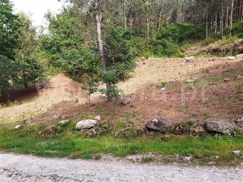 Terreno para Construção  Vieira do Minho, Eira Vedra - 1245435 - 5