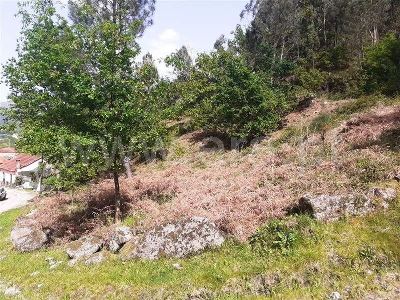 Terreno para Construção  Vieira do Minho, Eira Vedra - 1245435 - 6