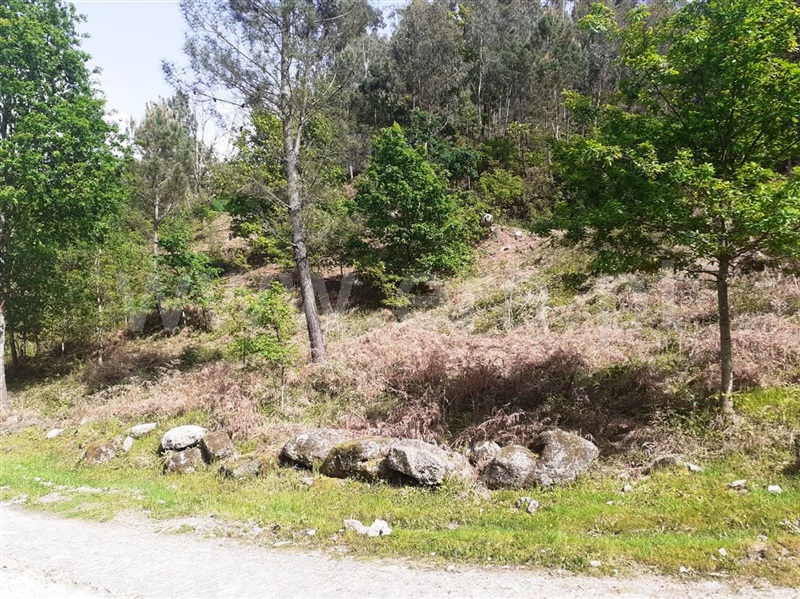 Terreno para Construção  Vieira do Minho, Eira Vedra - 1245435 - 7