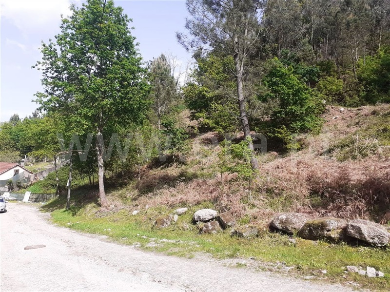 Terreno para Construção  Vieira do Minho, Eira Vedra - 1245435 - 8