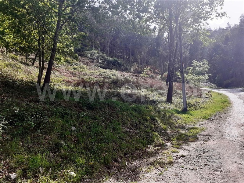 Terreno para Construção  Vieira do Minho, Eira Vedra - 1245435 - 9