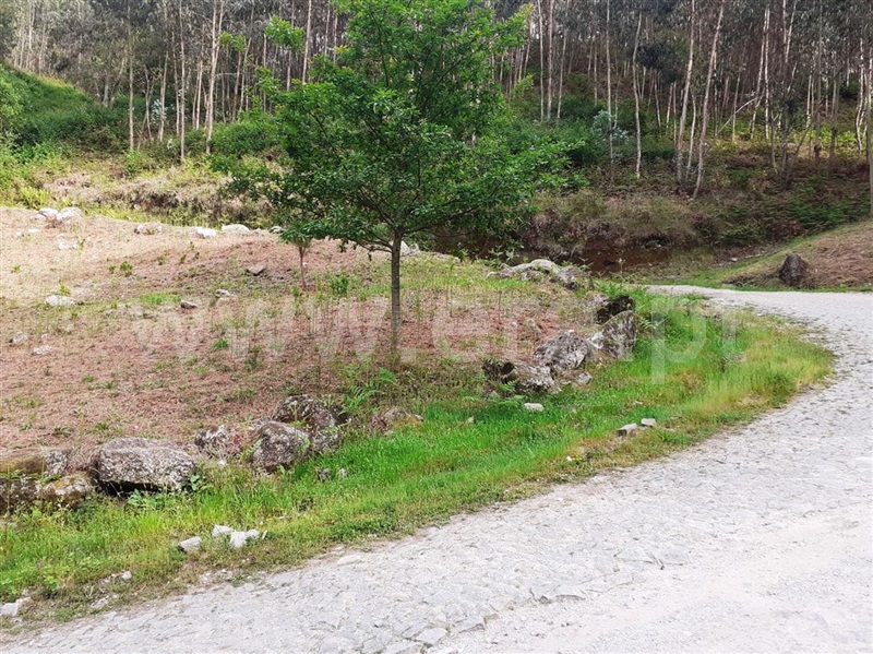 Terreno para Construção  Vieira do Minho, Eira Vedra - 1245435 - 10