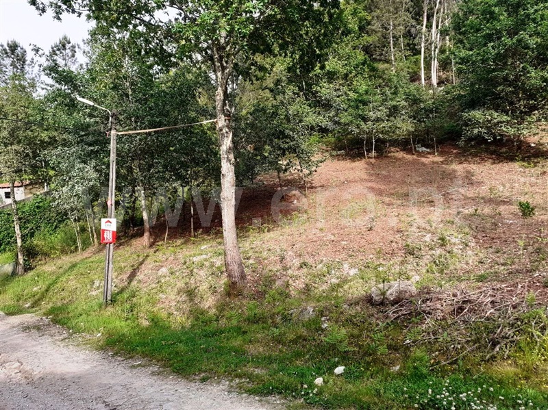 Terreno para Construção  Vieira do Minho, Eira Vedra - 1245435 - 11