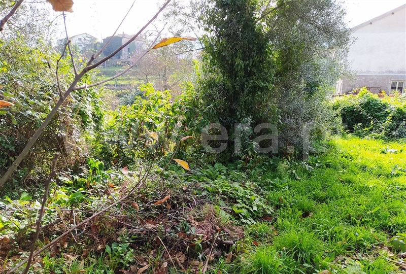 Terreno para Construção  Vieira do Minho, Guilhofrei - 1133874 - 2