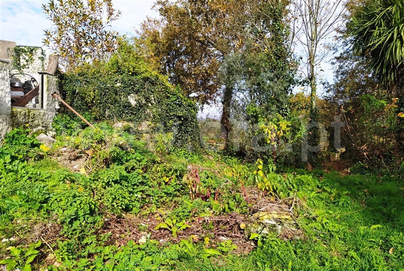 Terreno para Construção  Vieira do Minho, Guilhofrei - 1133874 - 6