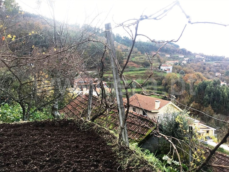 Terreno para Construção  Vieira do Minho, Ventosa e Cova - 1058067 - 3