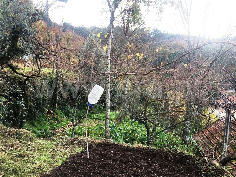 Terreno para Construção  Vieira do Minho, Ventosa e Cova - 1058067 - 4