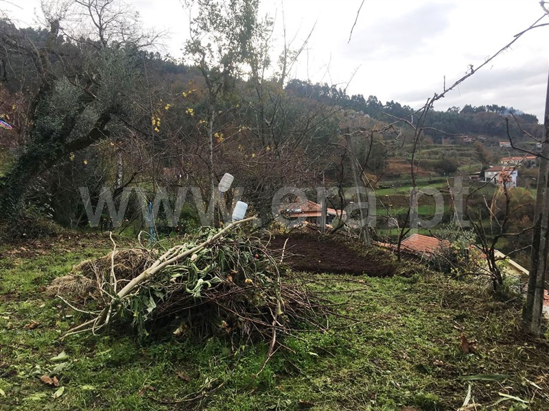 Terreno para Construção  Vieira do Minho, Ventosa e Cova - 1058067 - 5