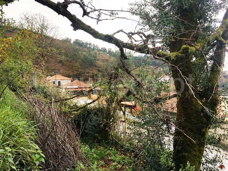 Terreno para Construção  Vieira do Minho, Ventosa e Cova - 1058067 - 12