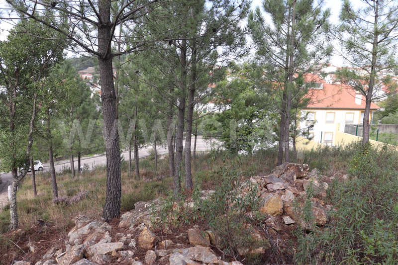 Terreno para Construção  Vila de Rei, Vila de Rei - 1439847 - 3
