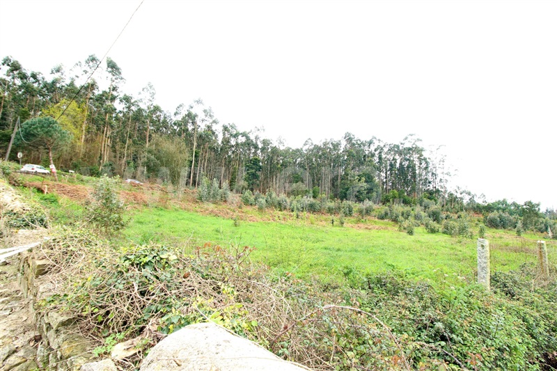 Terreno para Construção / Vila do Conde, Fornelo e Vairão