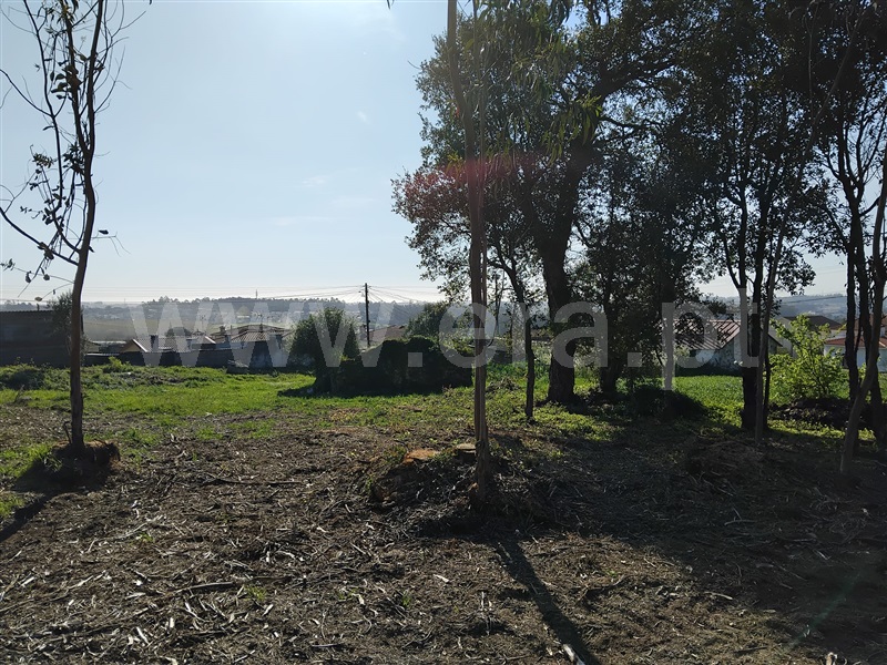 Terreno para Construção / Vila do Conde, Junqueira