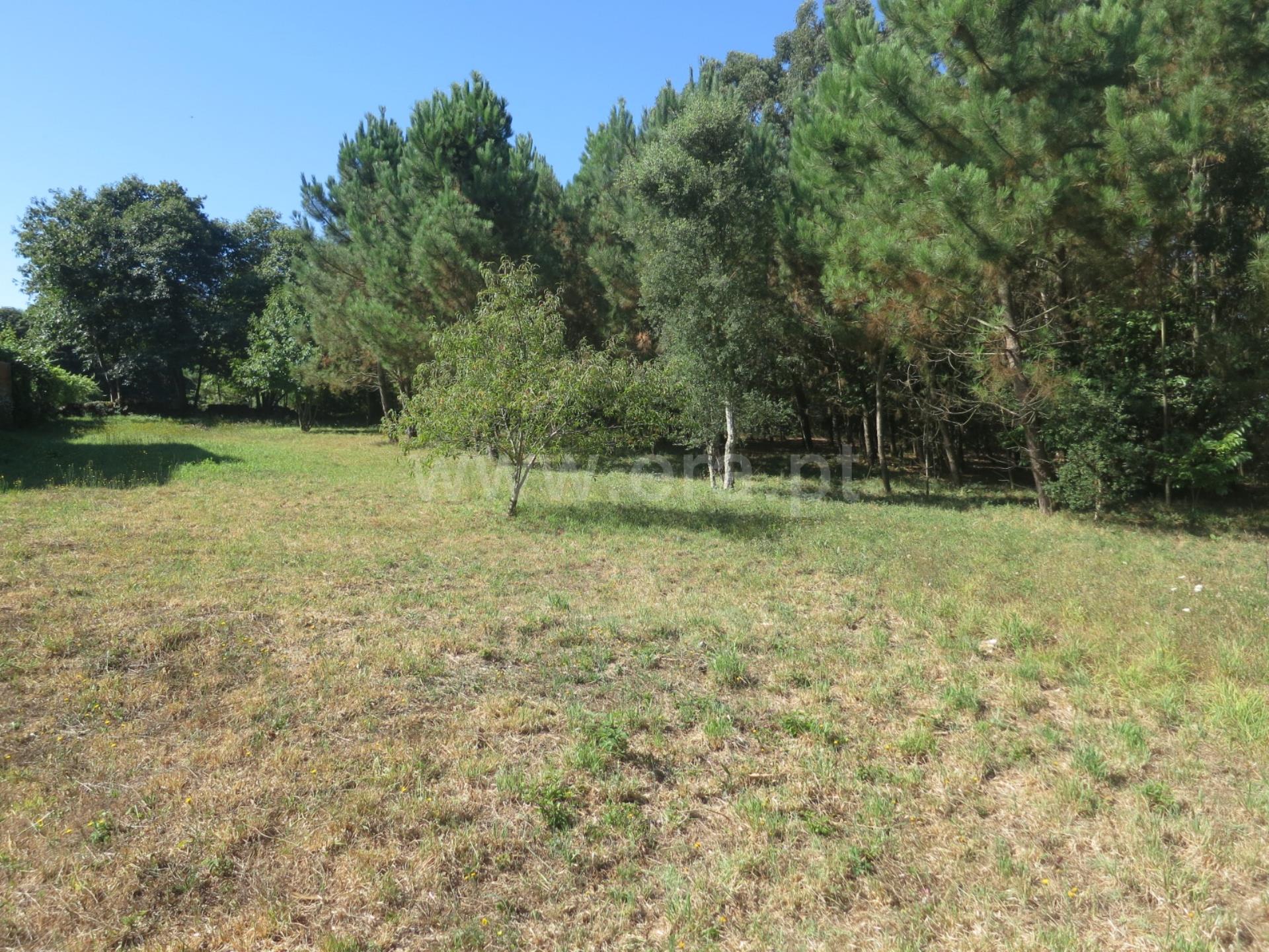 Land for sale in Vila do Conde, Portugal — €180,000