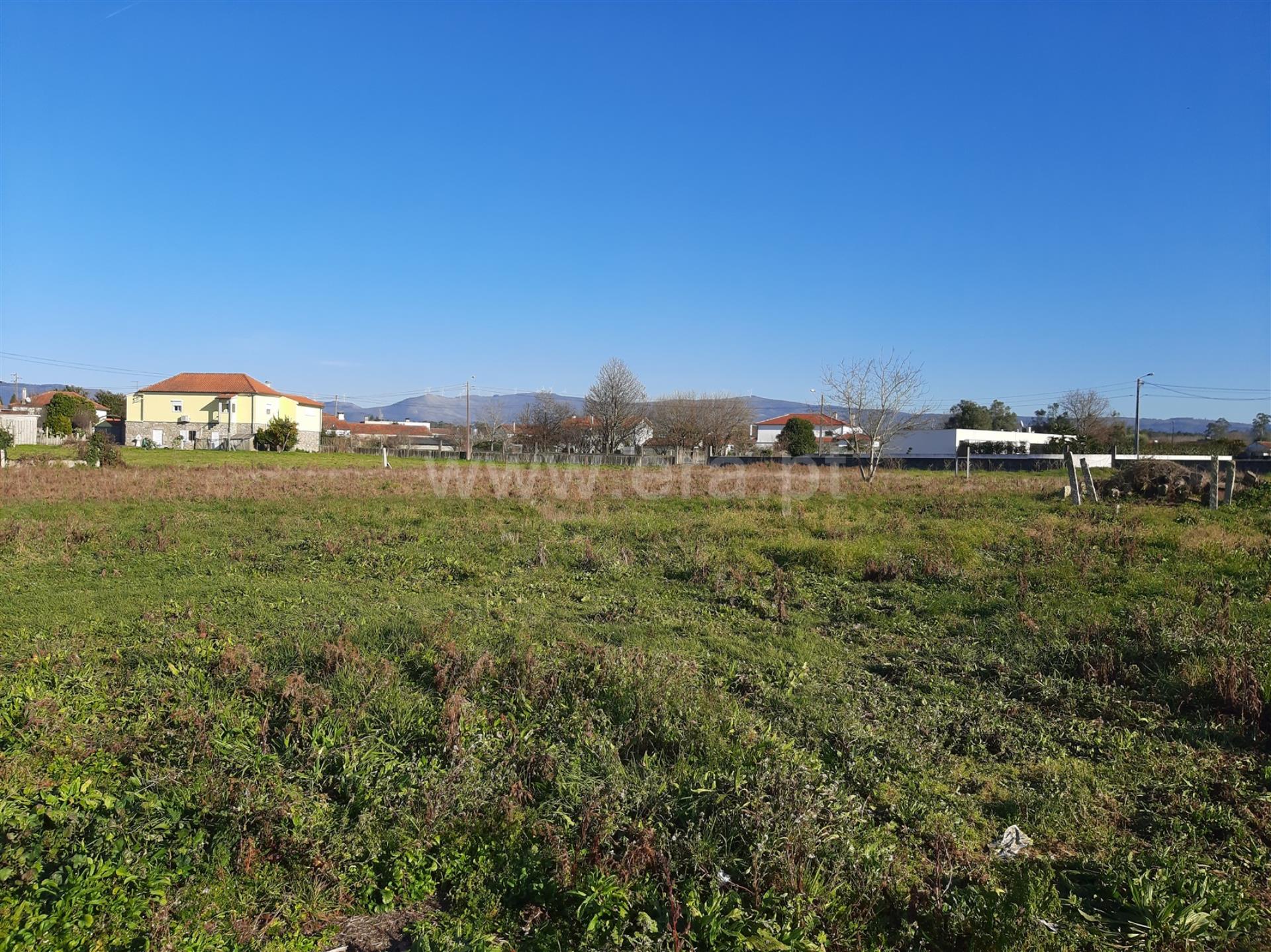 Land for sale in Vila Nova de Cerveira, Portugal — €139,000