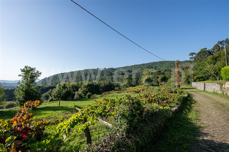 Terreno para Construção / Vila Nova de Cerveira, Candemil e Gondar