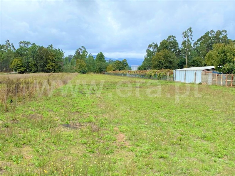 Terreno para Construção  Vila Nova de Cerveira, Cornes - 1123056 - 1