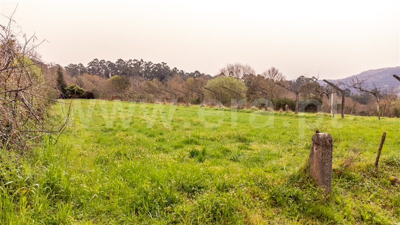 Terreno para Construção  Vila Nova de Cerveira, Covas - 1236149 - 2