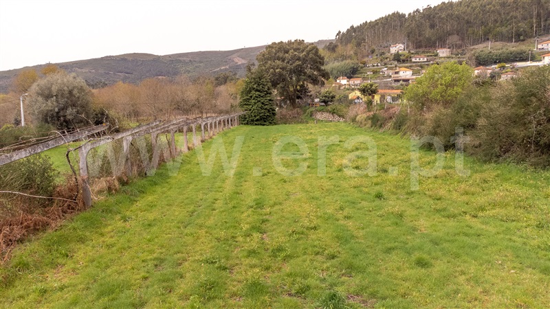Terreno para Construção  Vila Nova de Cerveira, Covas - 1236149 - 9