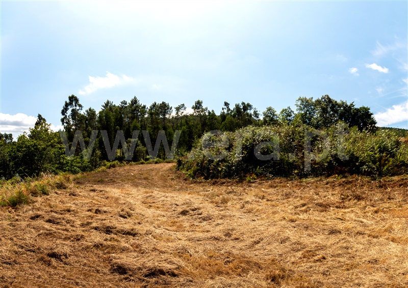 Terreno para Construção  Vila Nova de Cerveira, Sapardos - 1189059 - 8