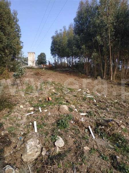 Terreno para Construção  Vila Nova de Famalicão, Joane - 1232818 - 2