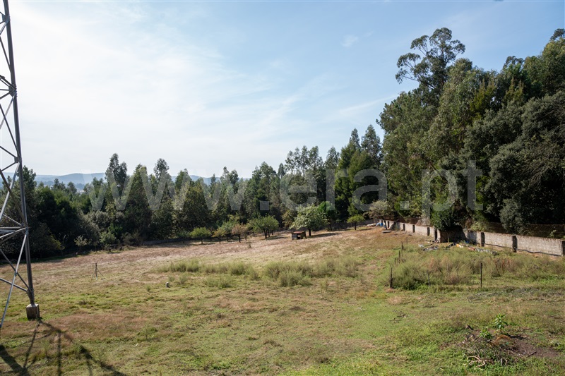 Terreno para Construção / Vila Nova de Famalicão, Lousado