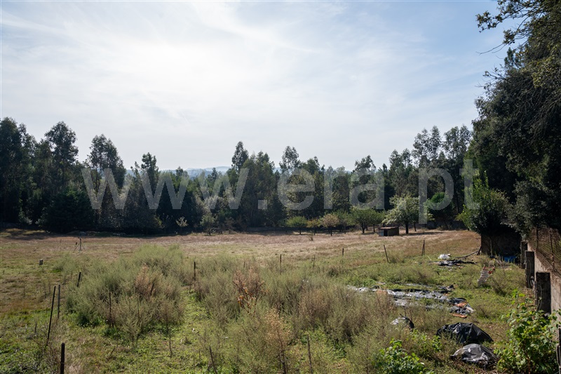 Terreno para Construção  Vila Nova de Famalicão, Lousado - 1354379 - 5