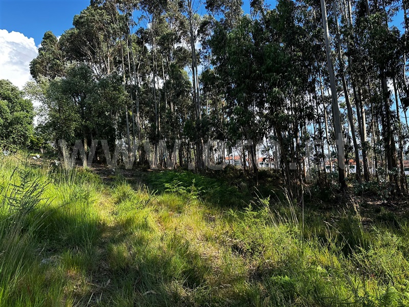 Terreno para Construção  Vila Nova de Famalicão, Lousado - 1406893 - 8