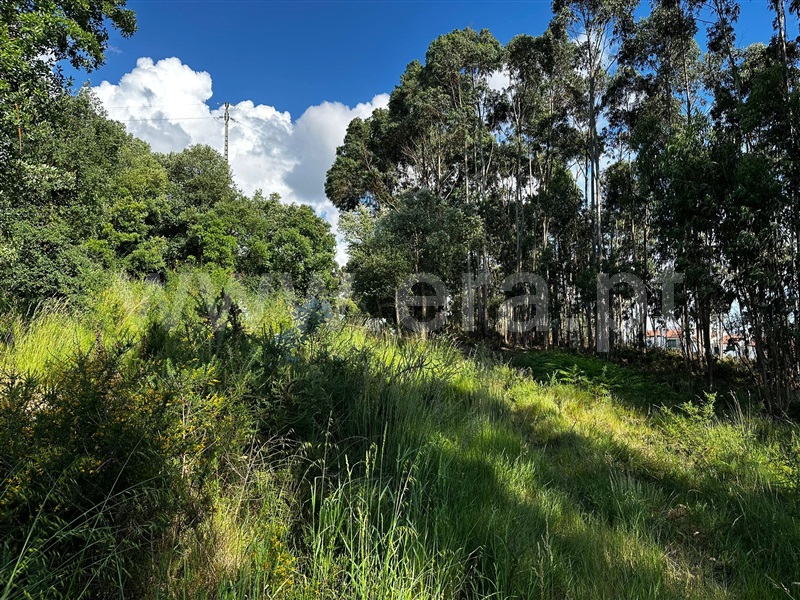 Terreno para Construção  Vila Nova de Famalicão, Lousado - 1406893 - 9