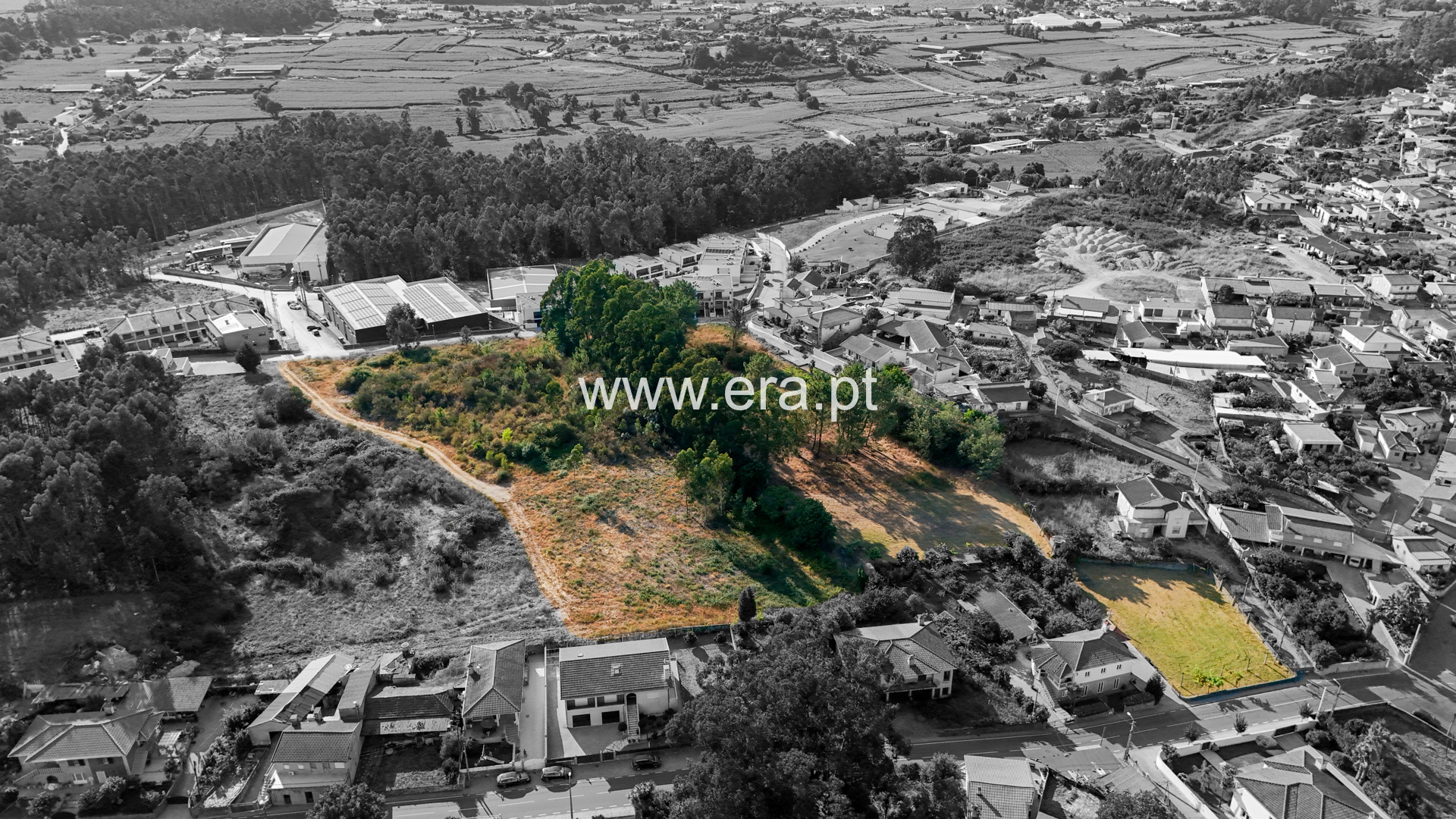 Terreno para Construção / Vila Nova de Famalicão, Nine