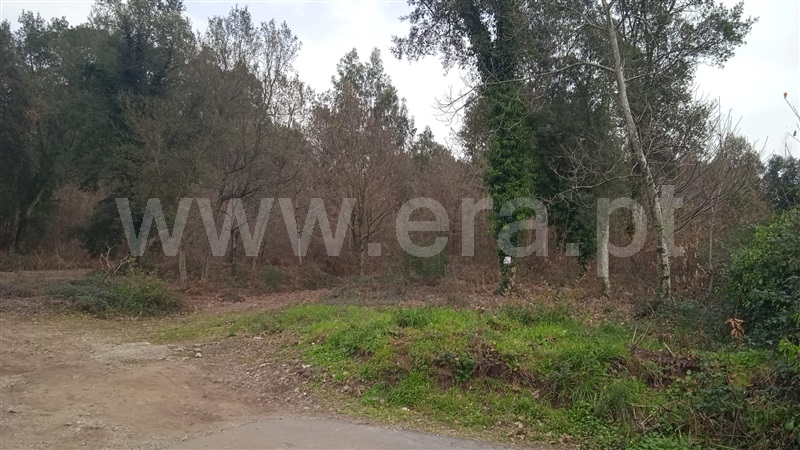 Terreno para Construção / Vila Nova de Famalicão, Requião