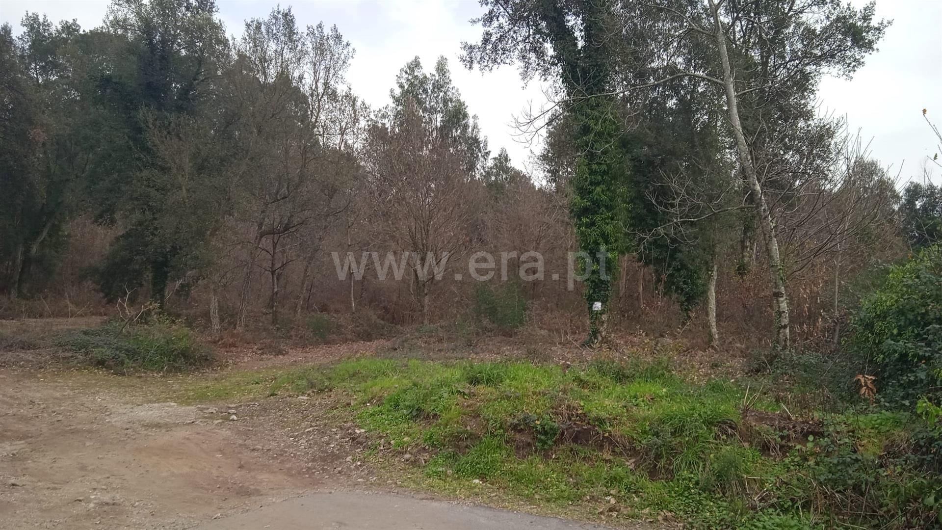 Land for sale in Vila Nova de Famalicão, Portugal — €175,000