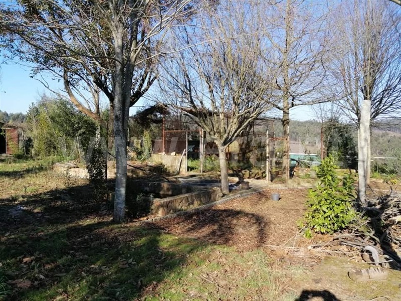 Terreno para Construção  Vila Nova de Famalicão, Ribeirão - 1146262 - 2